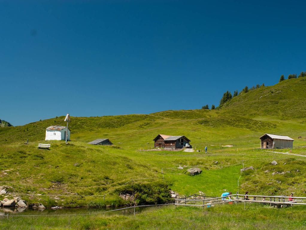 Haus Furka Hotel Damüls Eksteriør billede